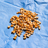 Masa classica extra fina - 100% nixtamal