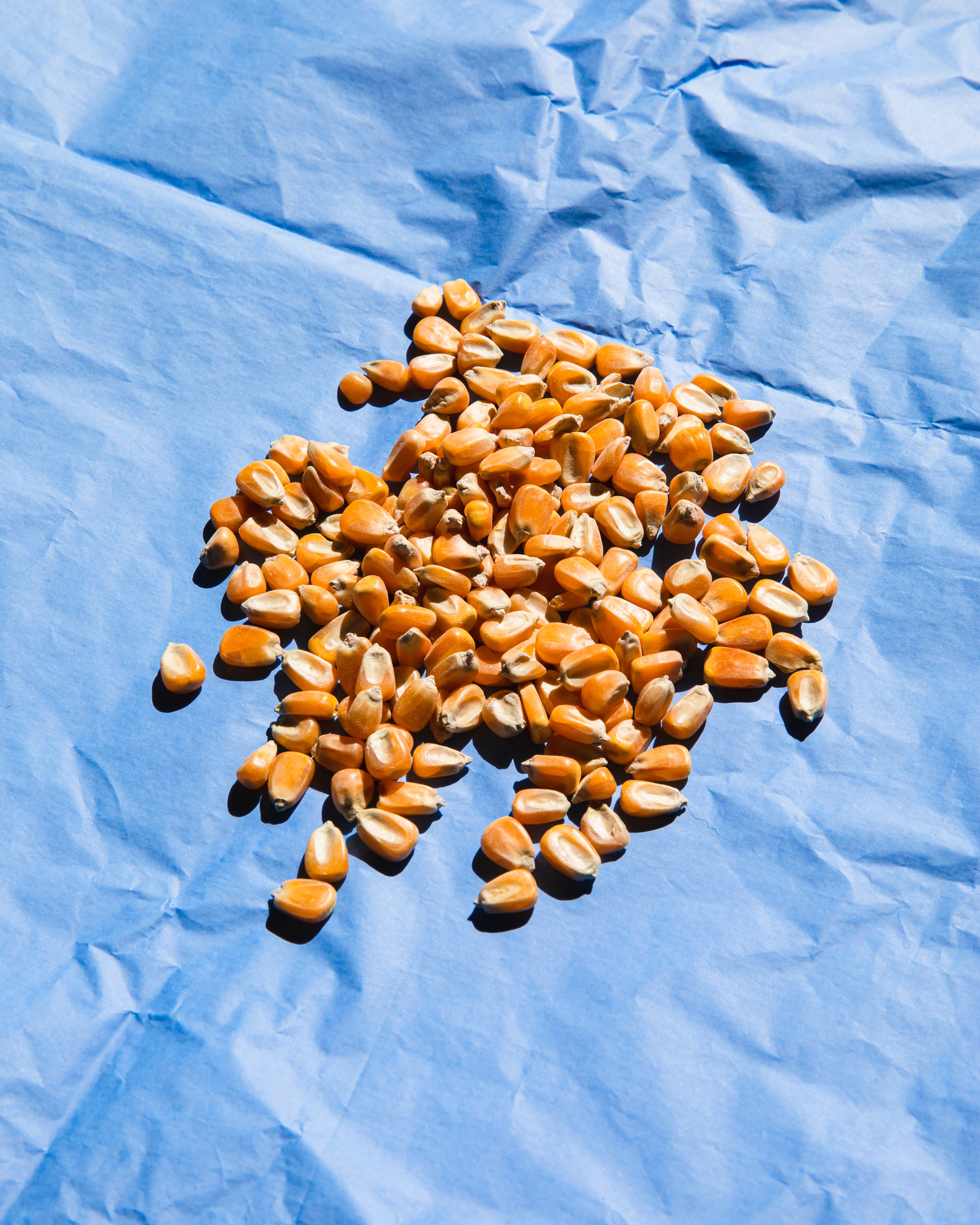 Masa classica extra fina - 100% nixtamal