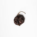 HABANERO